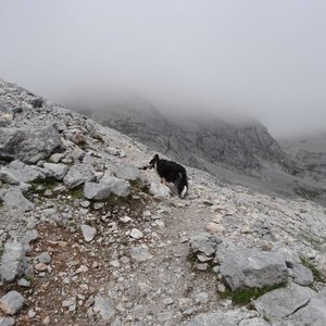 Mit Wendy am Hochkoenig